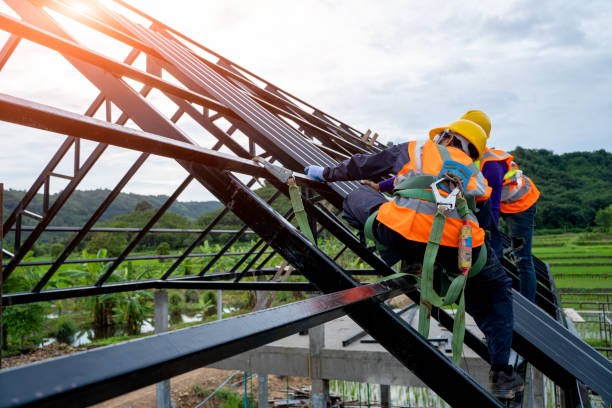 Roof Gutter Cleaning in Bronson, MI