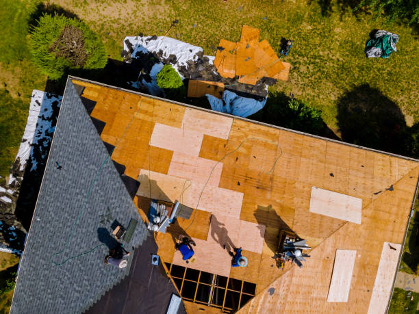 Best Roof Waterproofing Services  in Bronson, MI