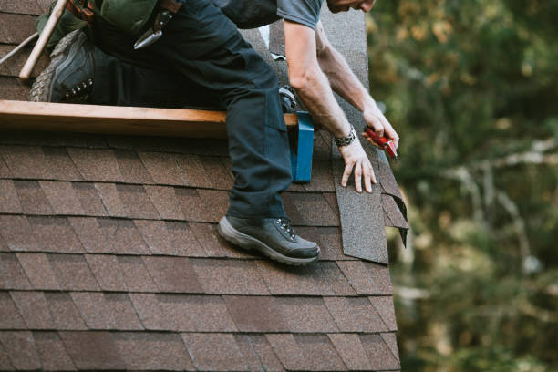 Professional Roofing Contractor in Bronson, MI