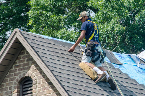 Best Residential Roofing Contractor  in Bronson, MI